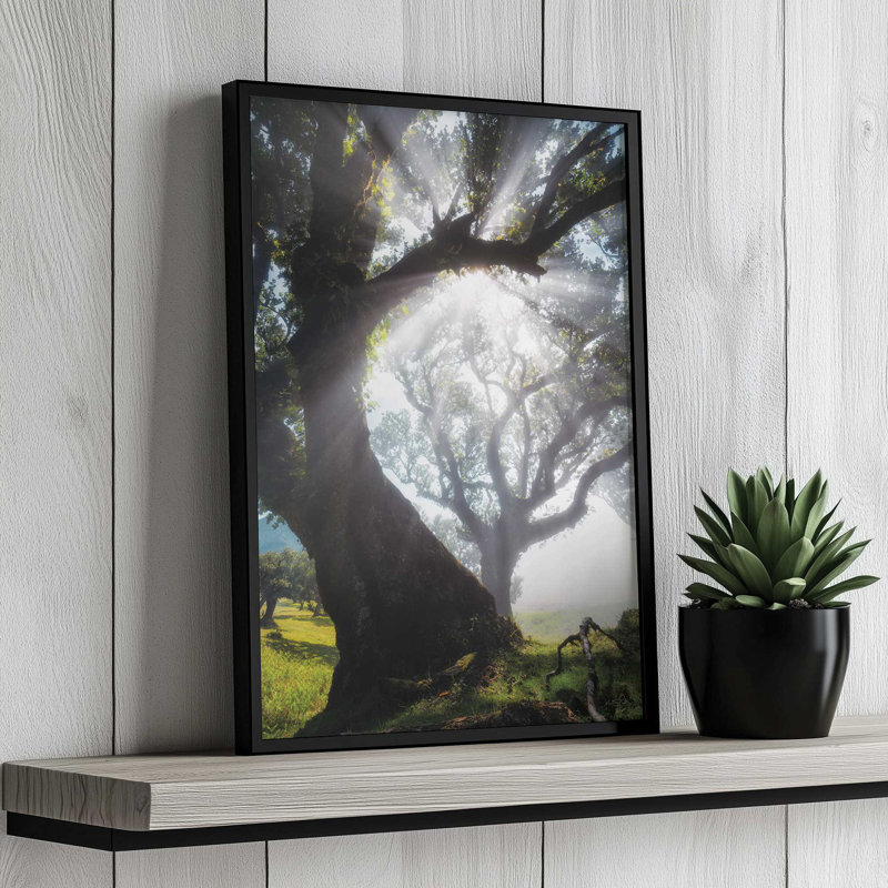 Reproduction d'art "Bend Rays" par Martin Podt, 20 W x 30 H, White, Framed Print