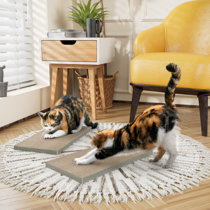 NFL New England Patriots Cat Scratcher Toy with Catnip Plush & Feather Cat  and Kitty Toy