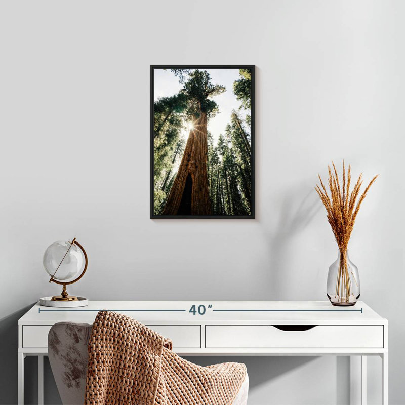 Arbre général Sherman ensoleillé, 13 po x 19 po, Cadre flottant noir