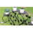 Senter Plant Stand - Set of 2-893631196