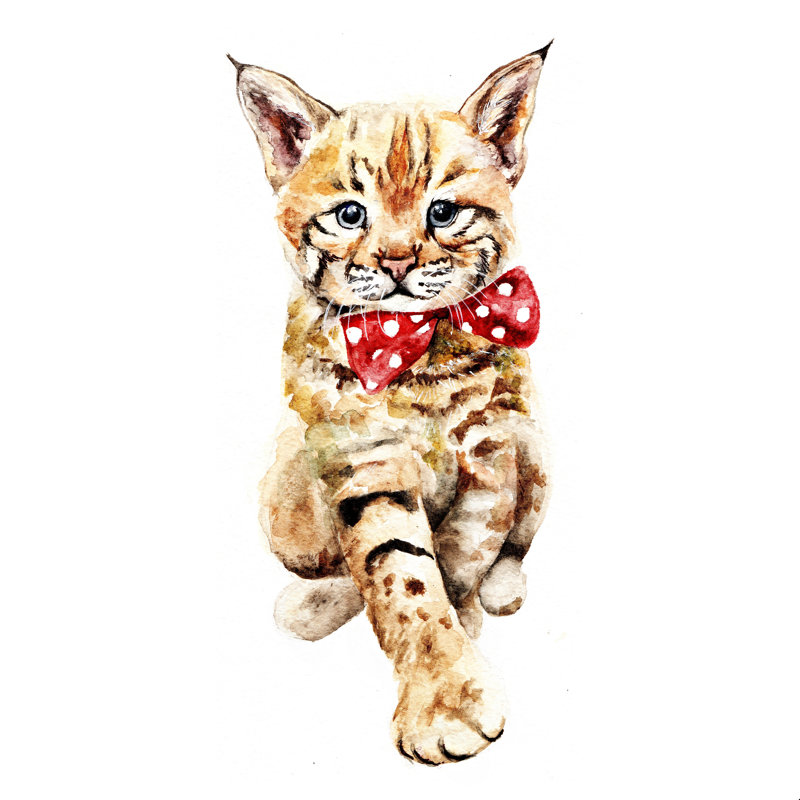 " Bobcat Cub " by Anna Tityushina, 30" H x 30" W  , No, White Floater Framed