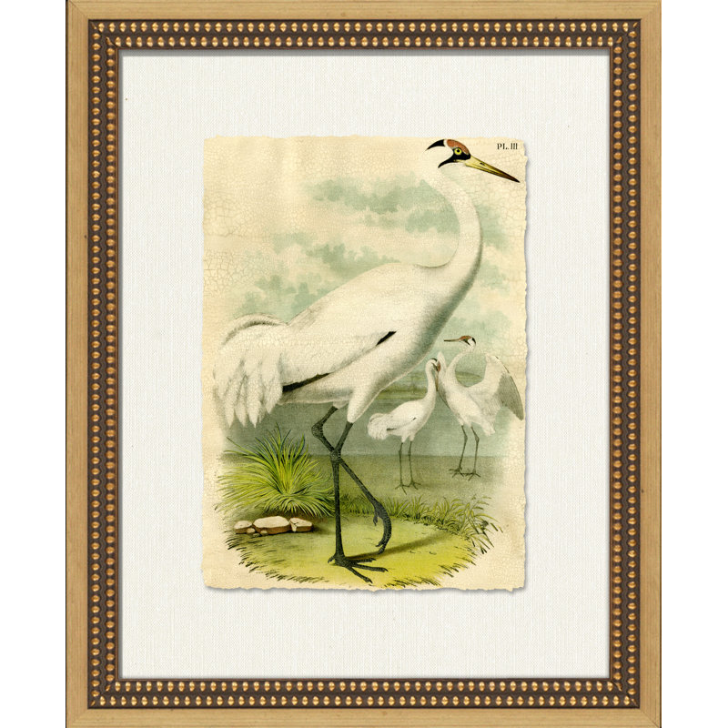 Crackled Marsh Birds II Painting