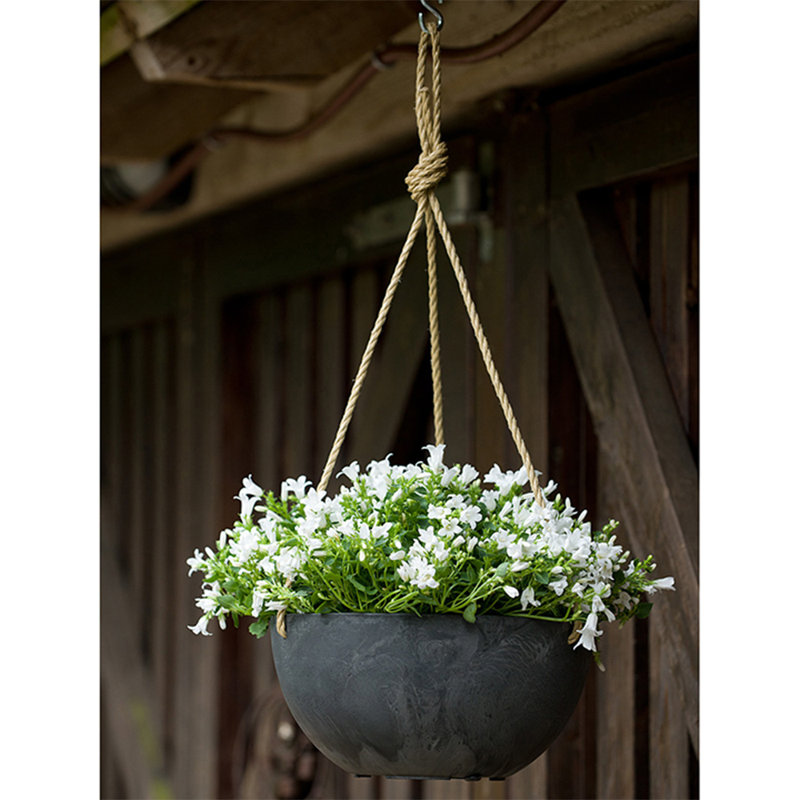 Pollyanna Hanging Planter, Black, 5.75" H x 12" W x 12" D
