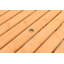 Parlington Rectangular Outdoor Picnic Table With Umbrella Hole , 59'' in. W 58.57'' in. D-2089299052