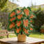 Pot artificiel 27 po Taro Red Core-1698499990
