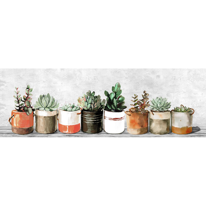 Impression encadrée « indoor succulents », H 10 po x l 30 po x P 1,5 po