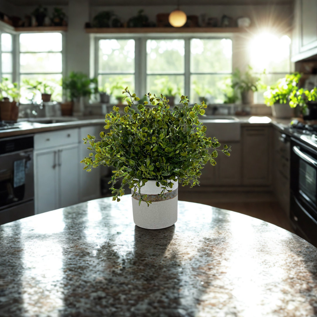 12'' Faux Eucalyptus Plant in Ceramic Vase Primrue Flowers/Leaves 