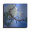 Art mural en métal Red Barrel Studio® «Egret pair In Flight» par Floy Zittin-1966578977