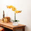 Phalaenopsis artificiel en pot 22 po Karelis-462425079