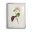 «Pretty Pink Botanicals VI» - reproduction de cadre photo-966822137-966822142