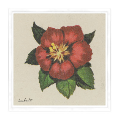 Red Blossom Print