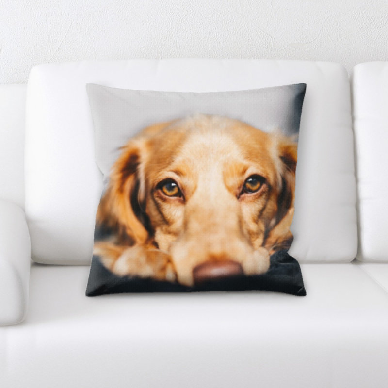 Coussin décoratif animal Eaman