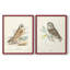 Hawk Owl - reproduction encadrée de qualité supérieure - prête à être accrochée - aucun clou requis - aucun clou requis-1047291002-1047291005
