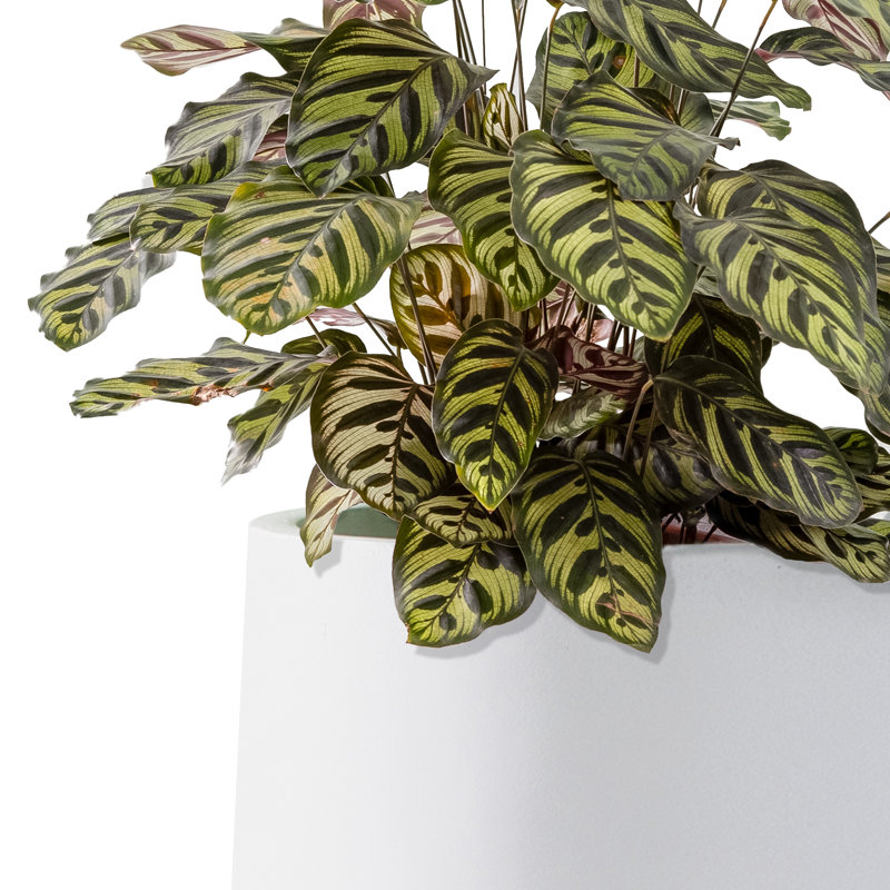 Sykes Pot Planter, Pure White