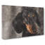 Portrait Of A Dachshund Dog - Wrapped Canvas-56629255