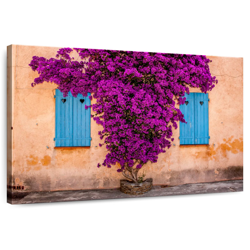 Bougainvillier mauve Harnek, H 30 po x l 45 po