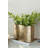 Timber Wavy Rect Degroot