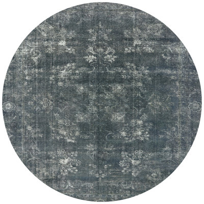 Shenna Oriental Indoor Rug