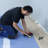 ROBERTS 100 sq. ft. 3.625 ft. x 27.5 ft. x 0.08" Soft Stride Sound Reducing Cushion Underlayment