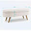 Banc de rangement à couvercle rabattable rembourré-88593927