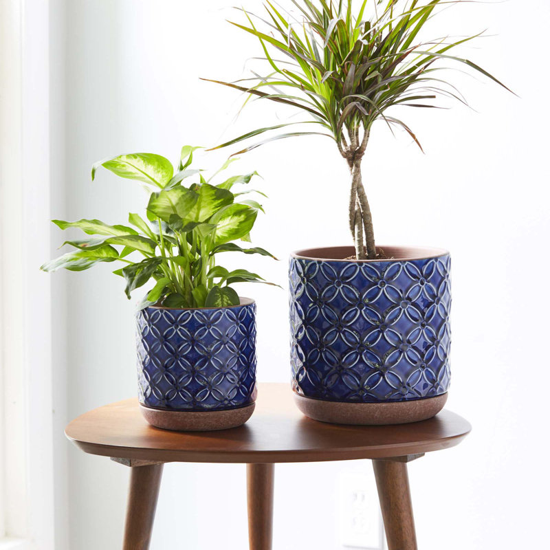 6" Griffy Planter, 2-pack