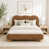 Terracotta Brown