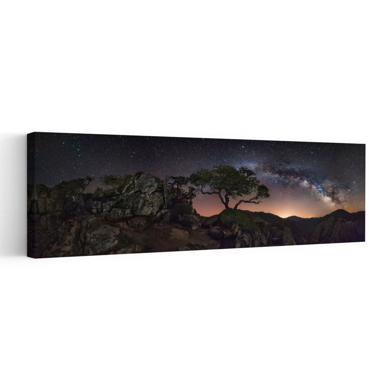 Starry Night Tree by Ivan Pedretti - Wrapped Canvas Panoramic Print, 40.64 cm H x 121.92 cm W