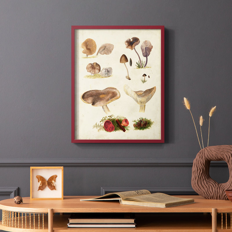 Reproduction encadrée Mushroom Species III - bois massif, Rouge, H 10 po x l 8 po