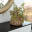 Spectre Glass Table Vase-38177255