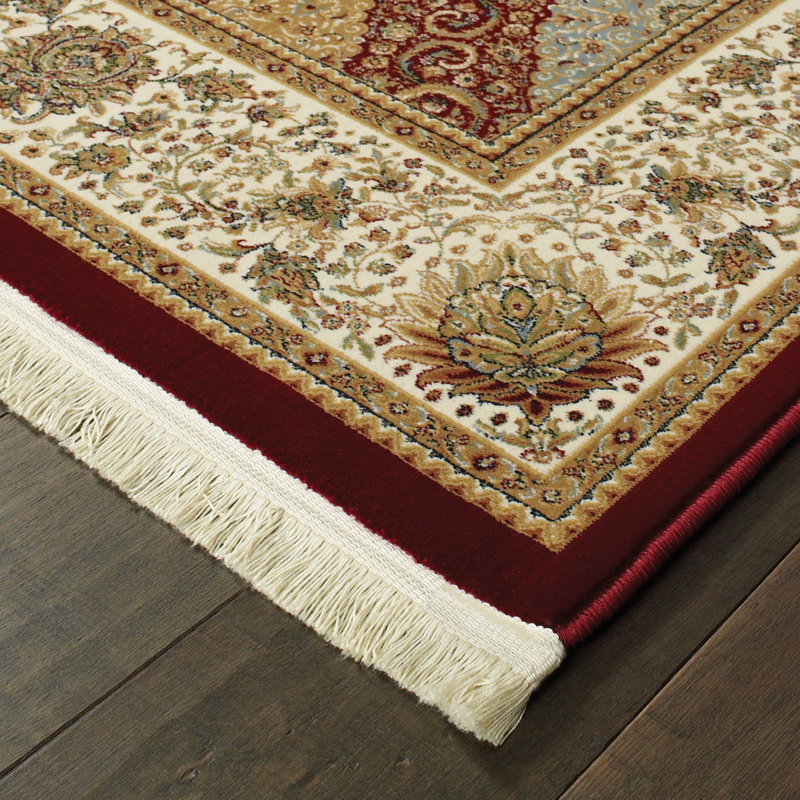 Knepp Oriental Indoor Rug, Rectangle 3'10" x 5'5"