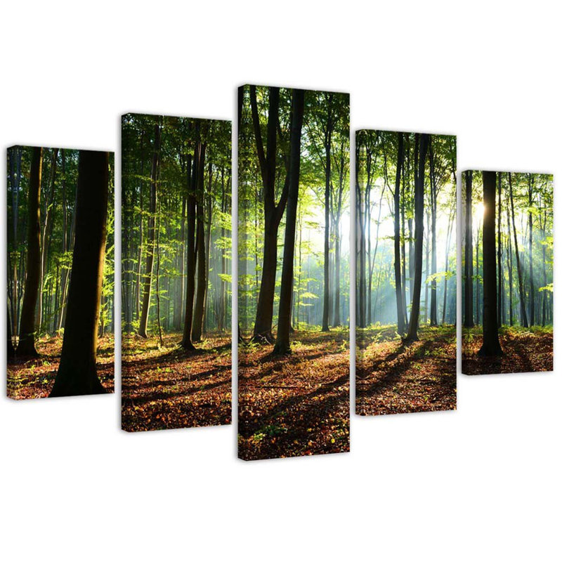 Forest Green In Nature - 5 Piece No Frame Print on Canvas, 100cm H x 200cm W