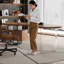 Bureau à 2 tiroirs brun noisette + bois massif noir + fer + acrylique + Barenia-573039976-573039979