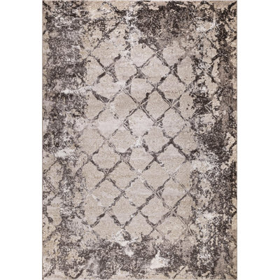 Adoracin Oriental Machine Braided Area Rug