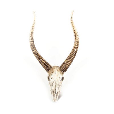 Goat Skull Handmade Resin Wall Decor