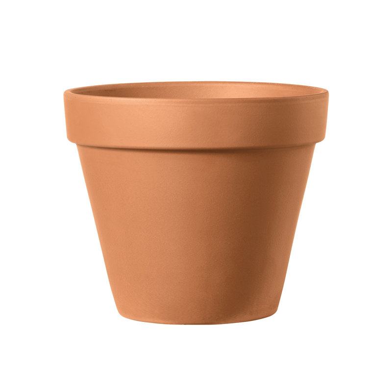 Grand pot Deroma standard - naturel (l 21 po x H 15 po) terre cuite - intérieur extérieur