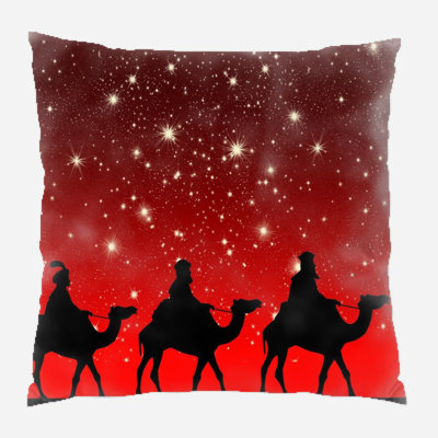 Canvas Outdoor Reversible Throw Pillow
