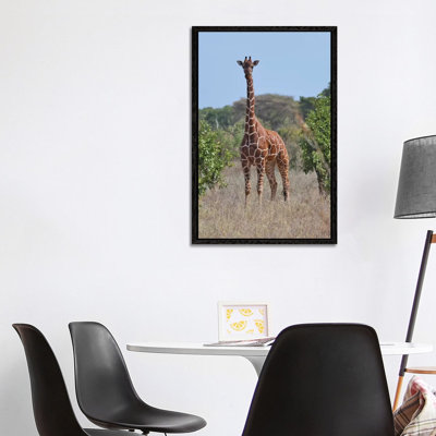 Reticulated Giraffe Frontal 1 Piece Wall Art on Canvas