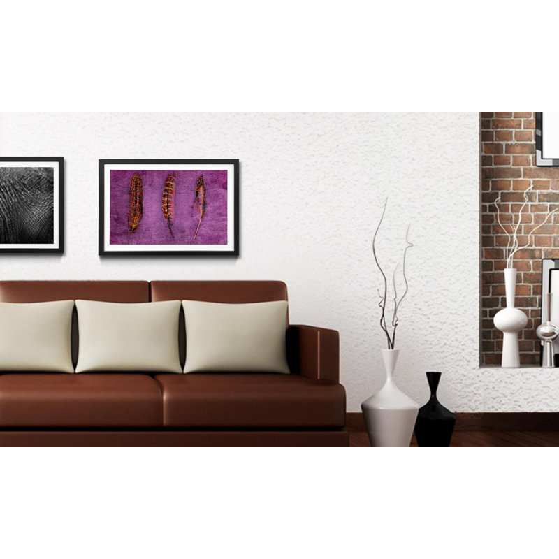 Streetart Feathers and Purple 1 Piece Single Picture Frame Wall Art, 64cm H x 84cm W x 2.2cm D