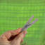 Plastic Clothes Pin