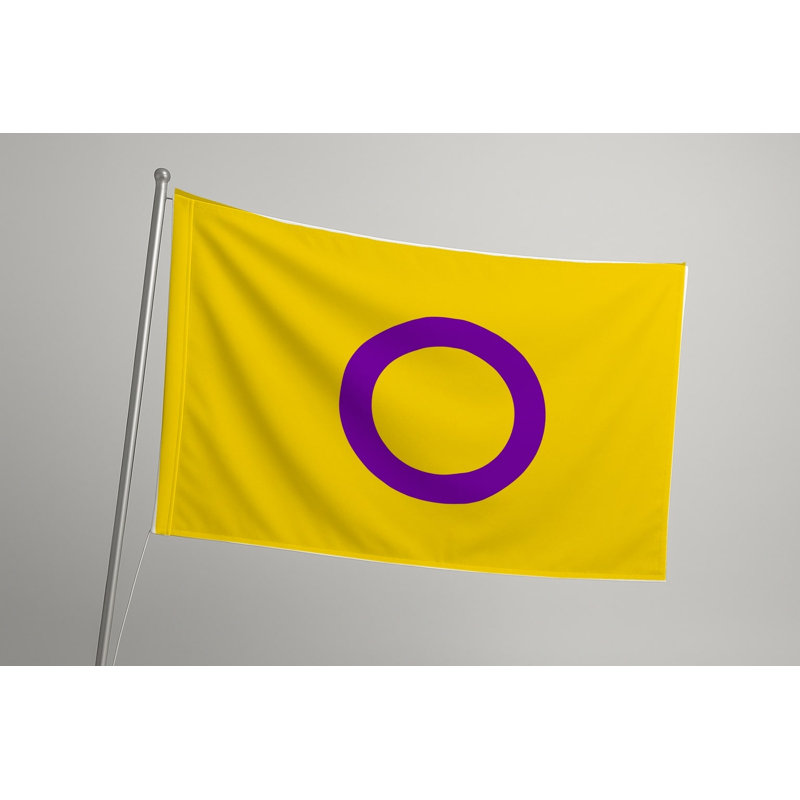 Drapeau Intersex Pride - drapeau extérieur, H 36 po x l 60 po