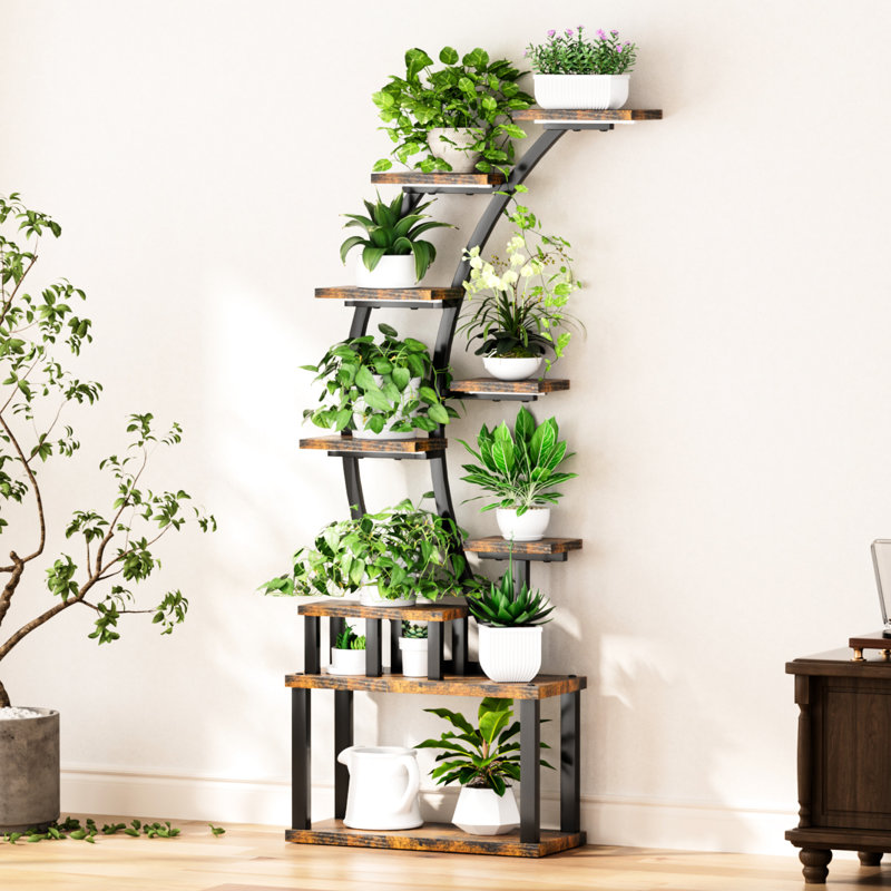 Support pour plante d'intérieur 9 avec lumières de croissance, plusieurs options d'éclairage, cadre en fer robuste, idéal pour les amateurs d'espace de présentation de 63,6 po de hauteur