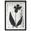 Single Orchid Print by Oliver Gal-330092980-330092977