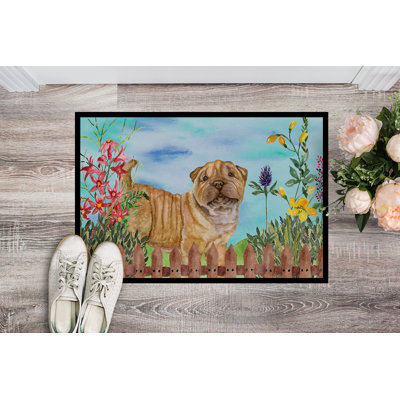 Non-Slip Outdoor Doormat