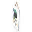 Wall Decor-1351913410