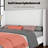 Cameren Upholstered Platform Bed-1202552775-1202552770