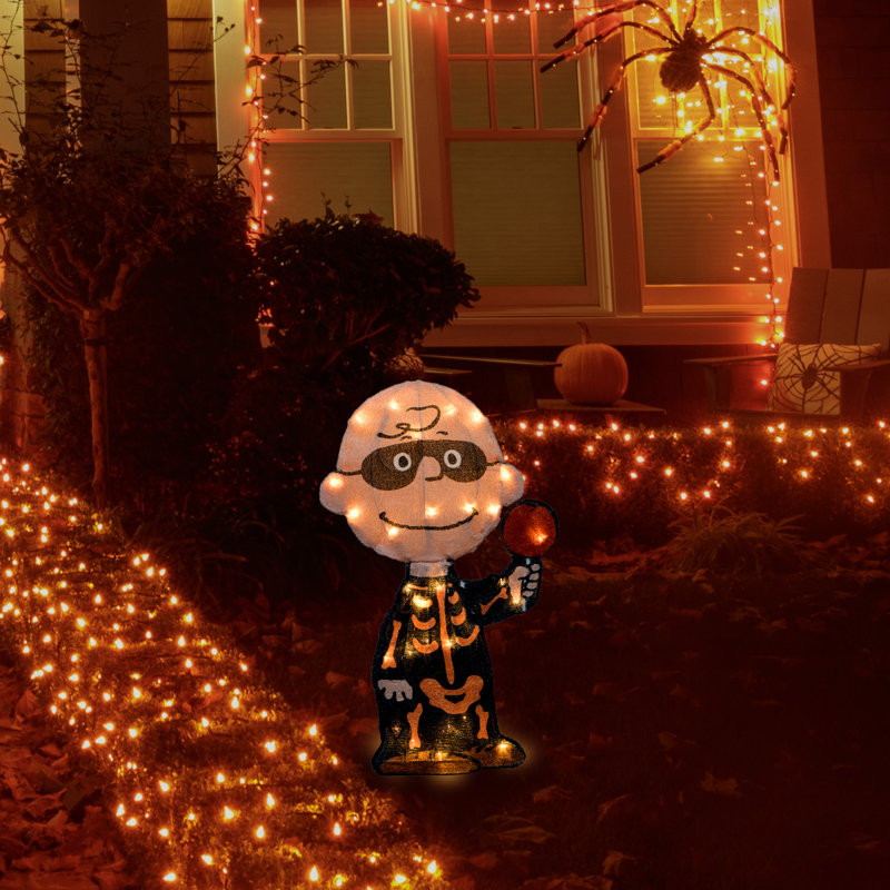 Peanuts 18in Peanuts LED PreLit Charlie Brown Bones