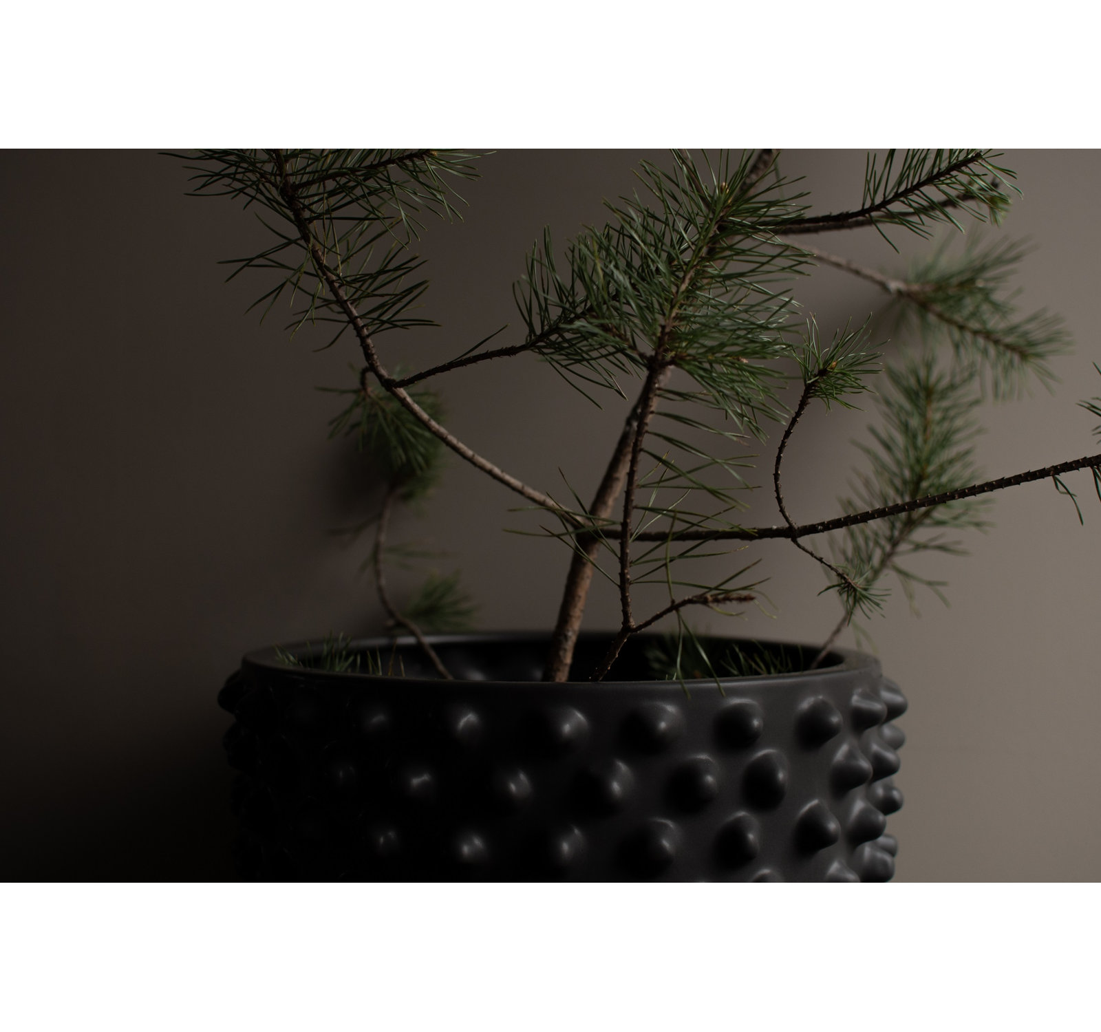 13.78'' Ceramic Table Vase, Black