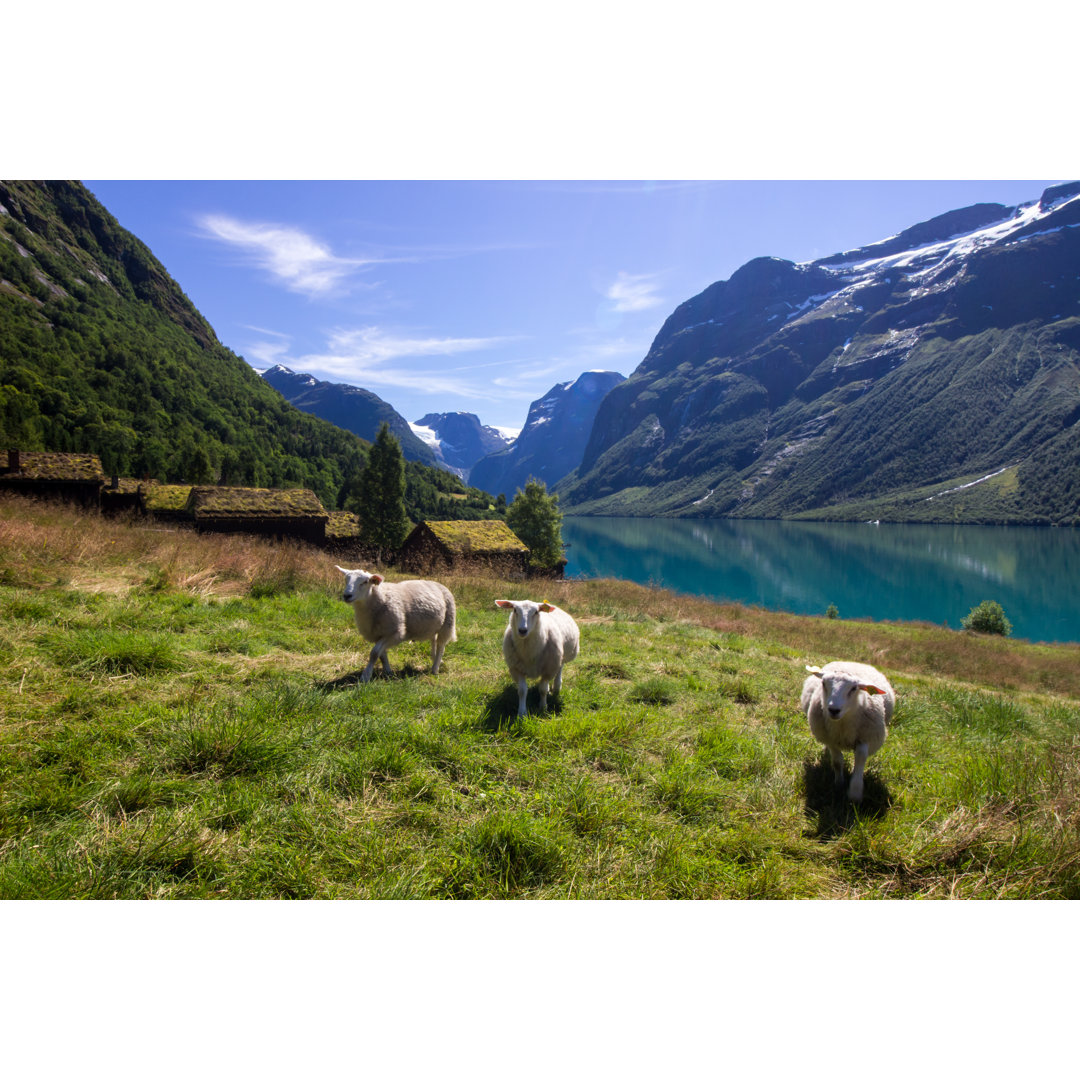 Leinwandbild Lake Lovatnet in Norway von Tomag