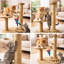 Scratching Post