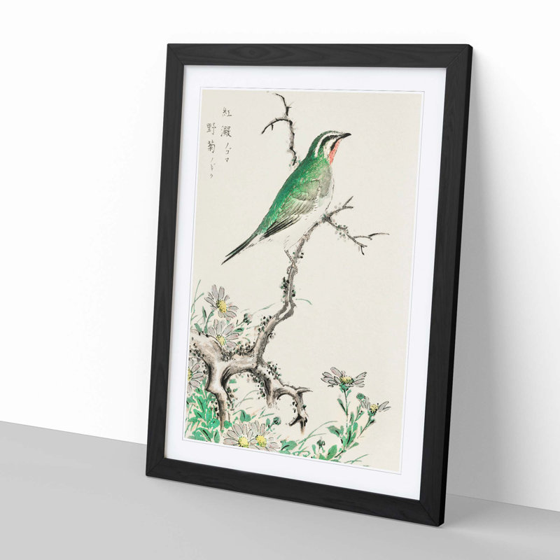 Ruby Throat & Wild Camomile by Numata Kashu - Picture Frame Painting Print, 60cm H x 40cm W x 2cm D, Black